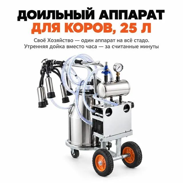 Коровы, козы, овцы
