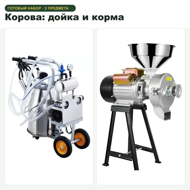 Корова: дойка и корма