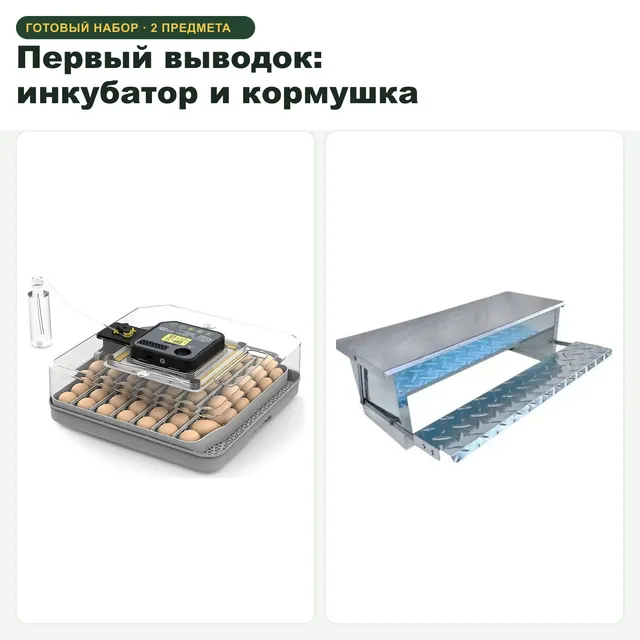 Первый выводок: инкубатор и кормушка